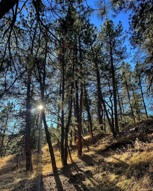 December 2020 Horsetooth Mountain Park & Reservoir Pictures