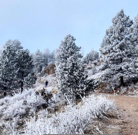 February 2021 Horsetooth Mountain Park & Reservoir Pictures