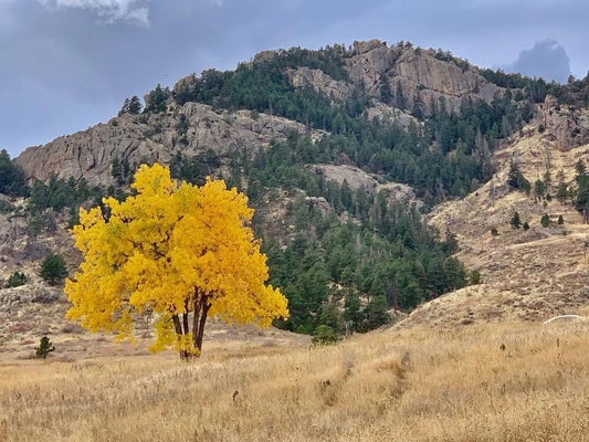 November 2021: Horsetooth Mountain Park & Reservoir Highlights