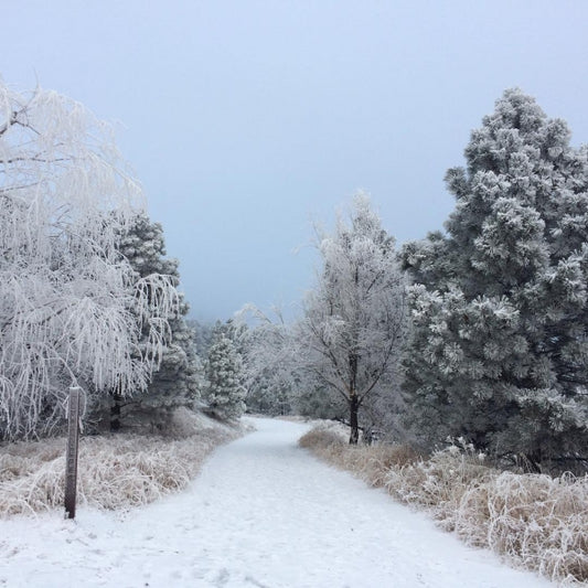 February 2017 Horsetooth Mountain Park & Reservoir Pictures