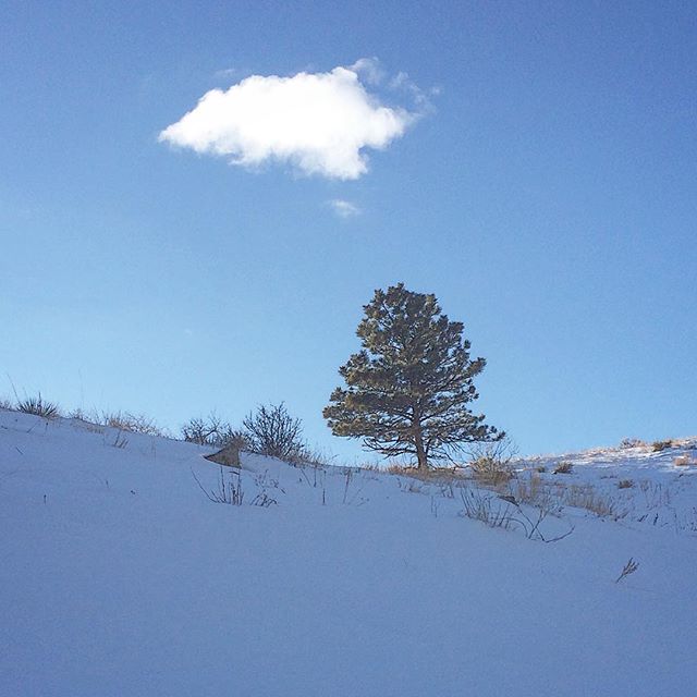 December 2015 Horsetooth Mountain Park & Reservoir Pictures