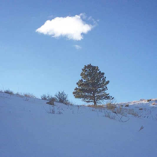 December 2015 Horsetooth Mountain Park & Reservoir Pictures
