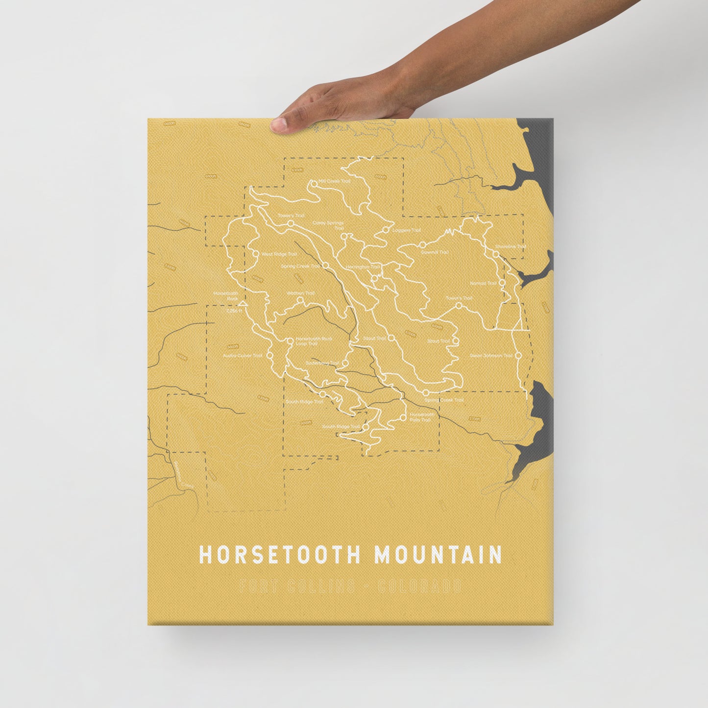 Horsetooth Mountain Map Canvas Print (Yellow)