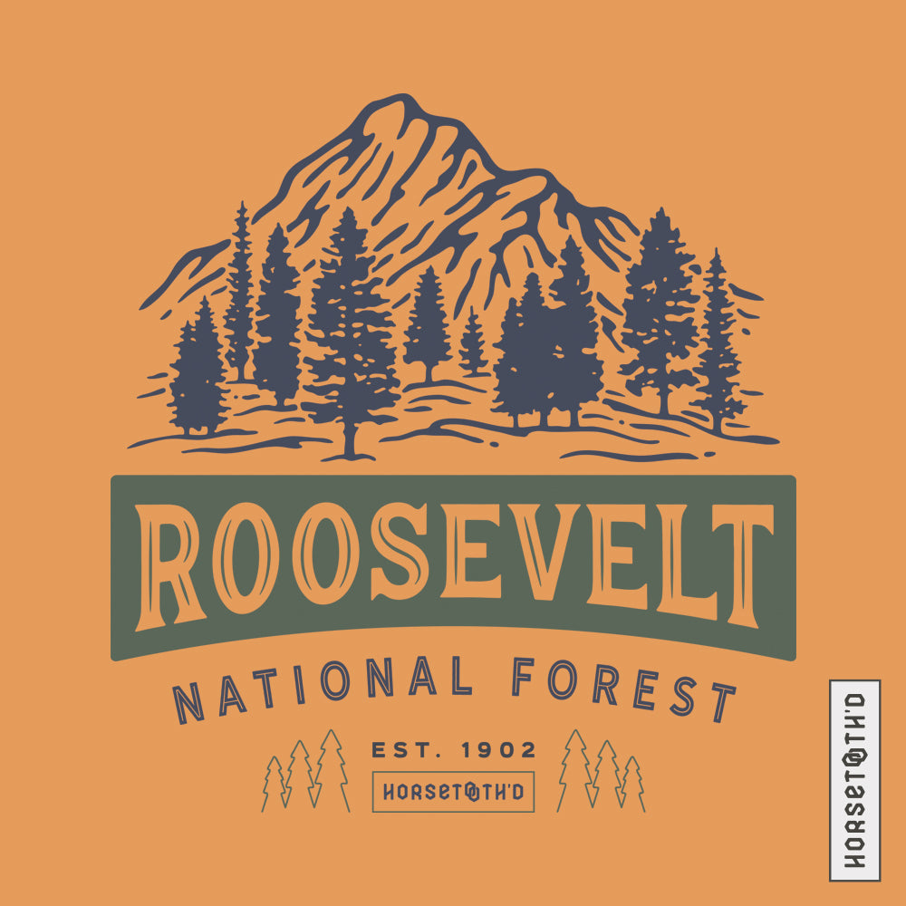 Roosevelt National Forest 1902 Image